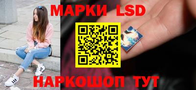 a pvp Краснознаменск